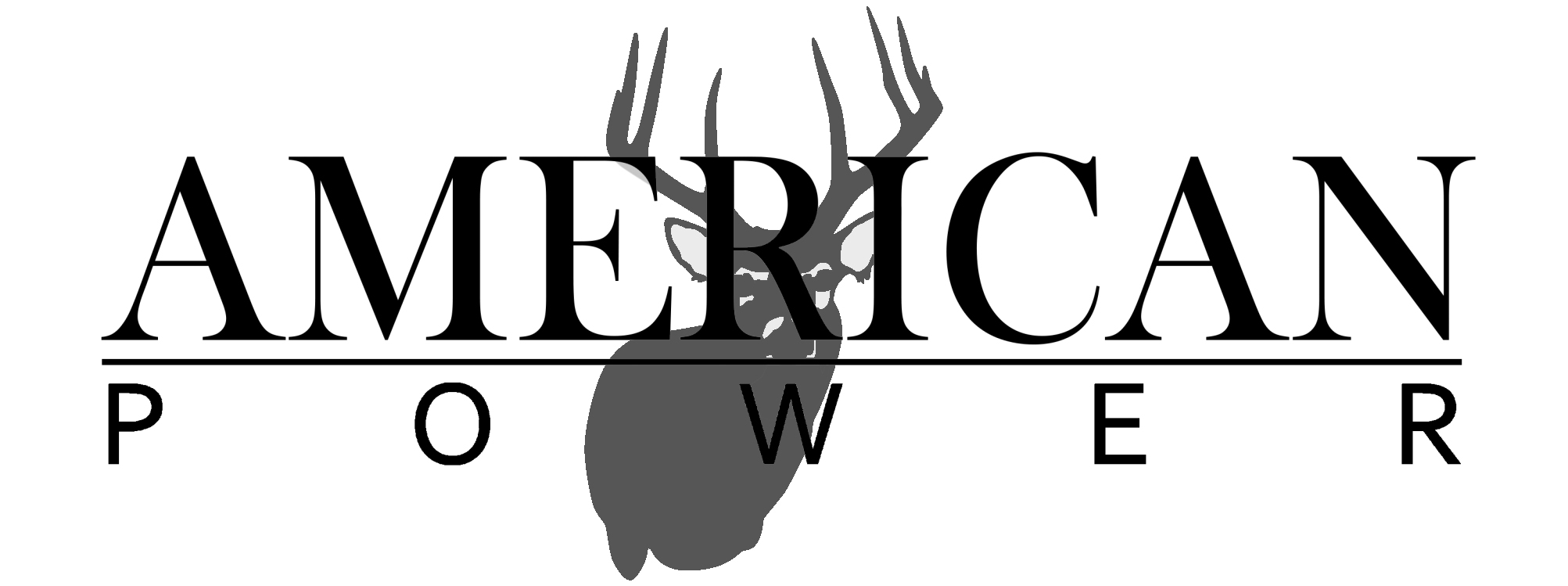 American Power, Logo 3